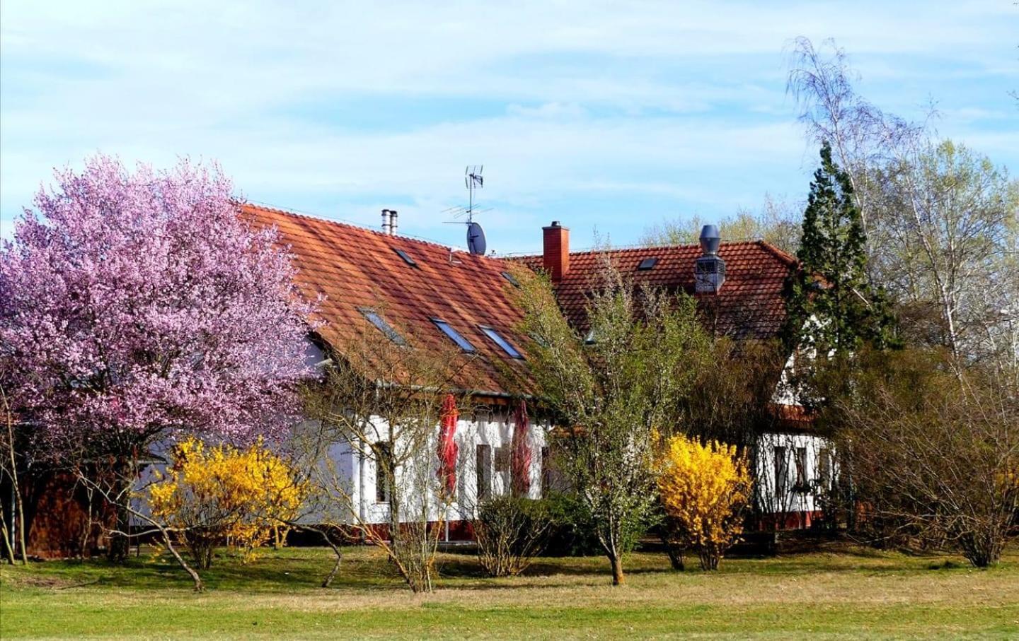 Bed and Breakfast Kigyosi Csarda & Panzio Fulopszallas Zewnętrze zdjęcie